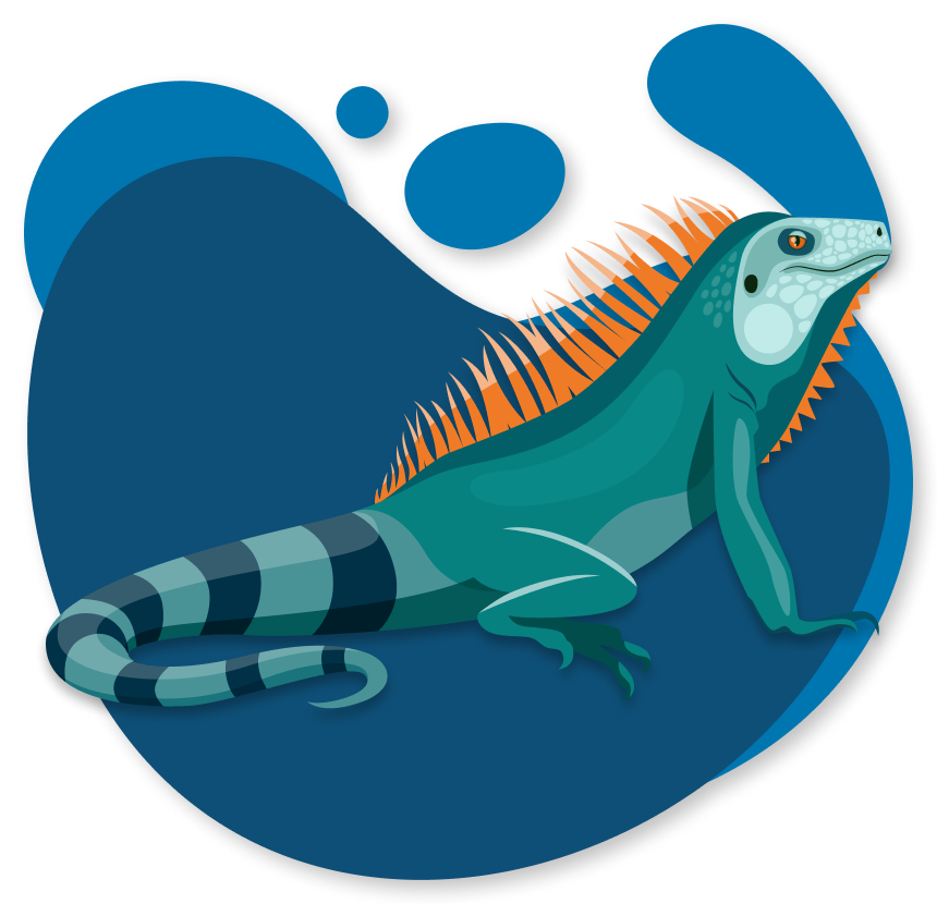 Piquero de patas azules