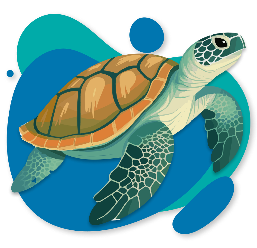 Tortuga de galapagos